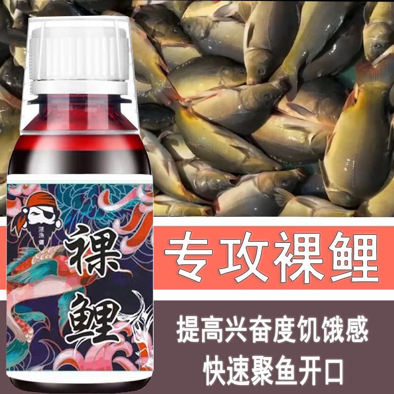 黑坑野钓裸鲤框镜鱼无磷鲤鱼小药