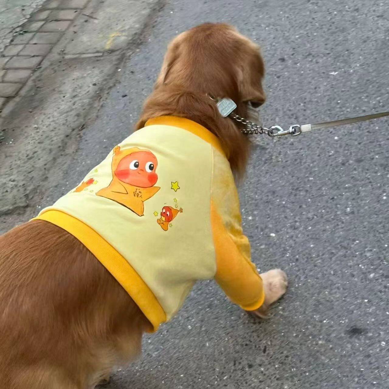 宠物狗狗衣服秋冬装边牧拉布拉多狗宠物服装/雨衣