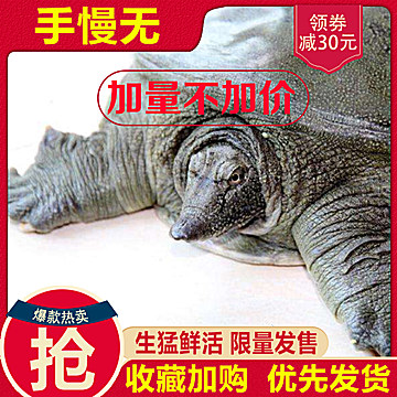 乐申眼镜29 酮康采乐19 乔丹T恤39 凡客衬衫69!8粒奥利司他29! 乐申眼镜29 酮康采乐19 乔丹T恤39 凡客衬衫69!8粒奥利司他29!