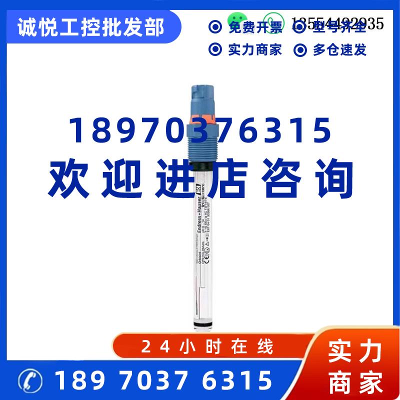 议价E+H PH电极PH计CPS12E-1014/0 CPS12E-AA7PAA2探头ORP酸度计
