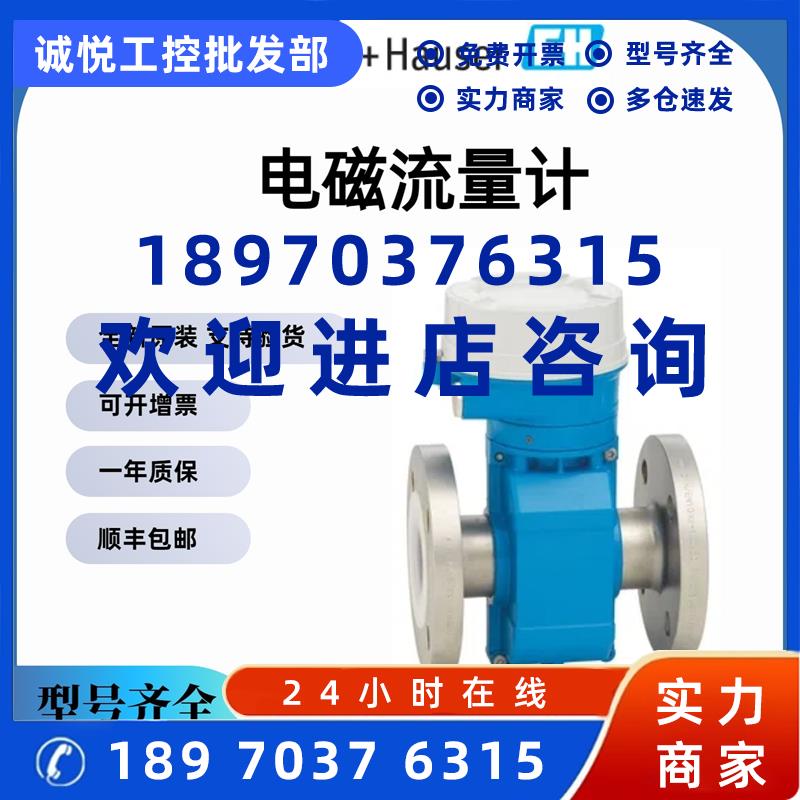 议价德国原装E+H电磁流量计5P3B80-AAIBAAAFAAED3K0AA2 序列号可