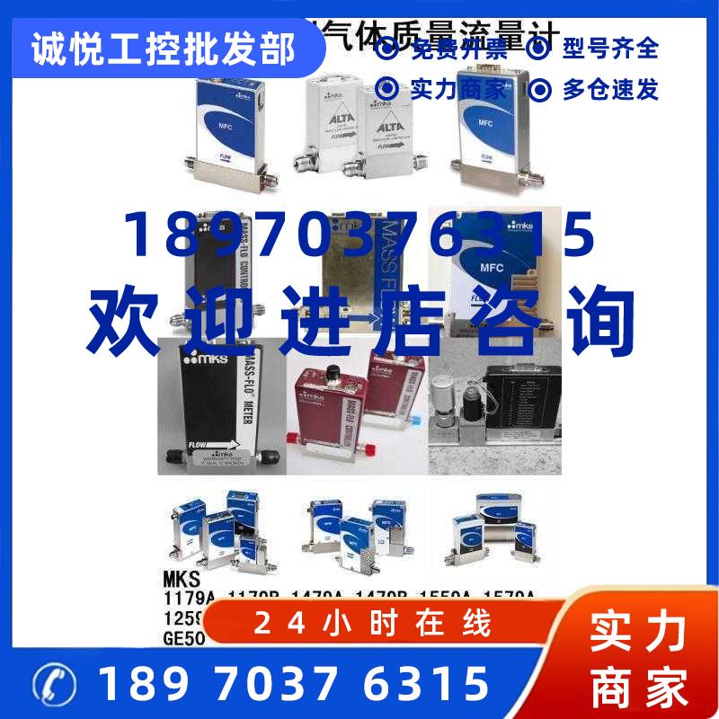 议价MKS 气体质量流量计GM50A 5000SCCM 3000SCCM 2000SCCM 现货