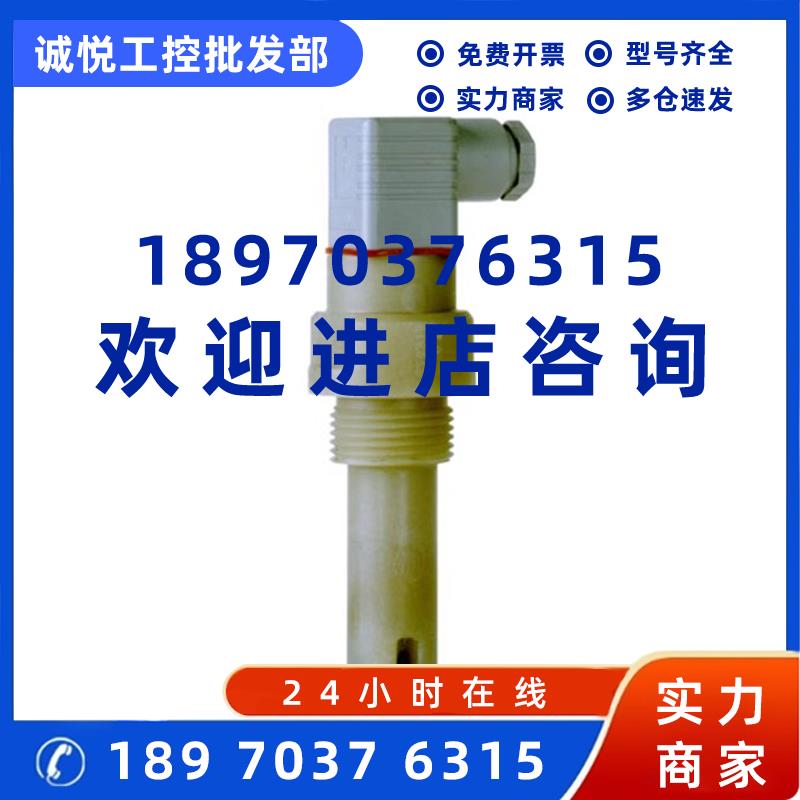 议价E+H 电导率电极 CLS21-C1E4A CLS21-C1N3A 探头 传感器 PH计