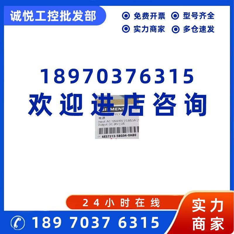 议价西门子6ES73135BG040AB0S7300CPU12集成电源6ES7313-5BG04-0A