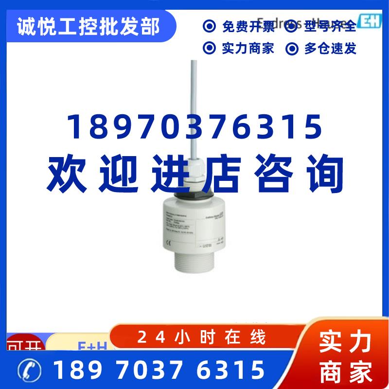 议价现货 E+H 恩德斯豪斯超声波物位计探头FDU92-RG2A
