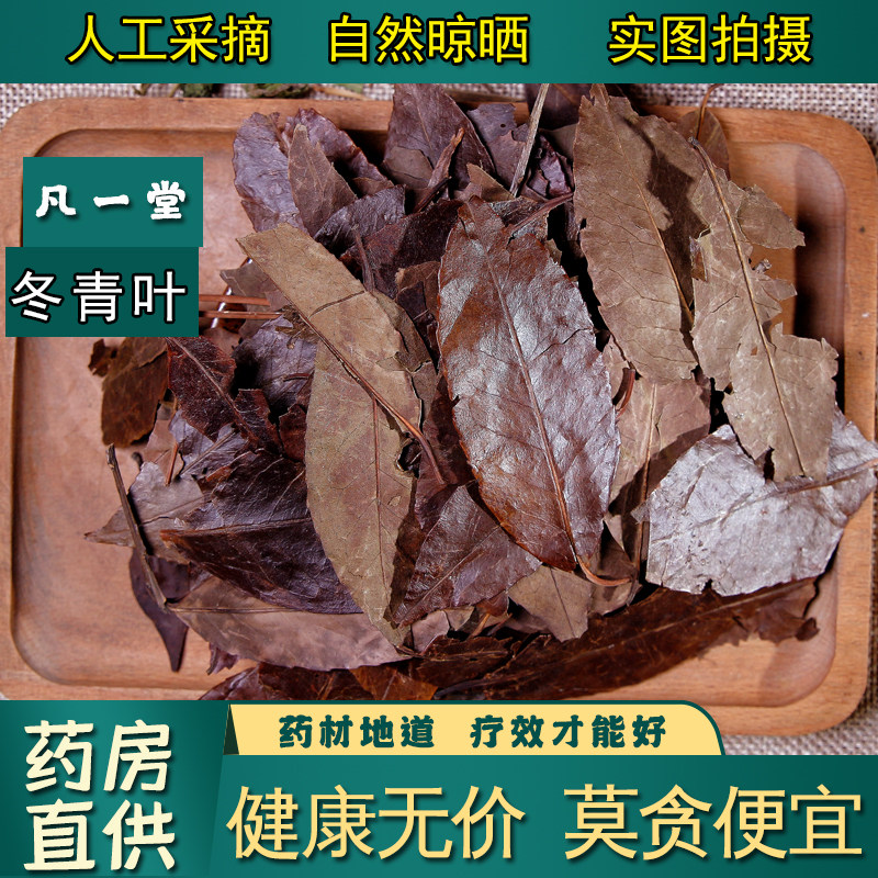【凡一堂】中药材四季青 冬青叶 四季青叶 冬青树叶 万年青
