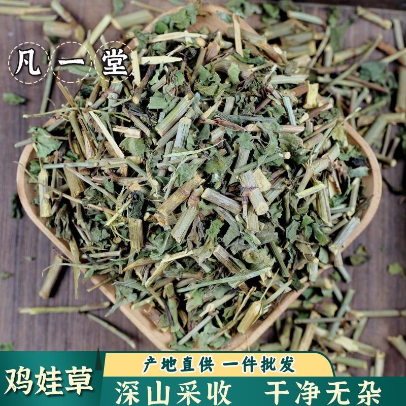 【凡一堂】中药材 鸡娃草 别名 蓝雪草 小蓝雪草 刺矾松.