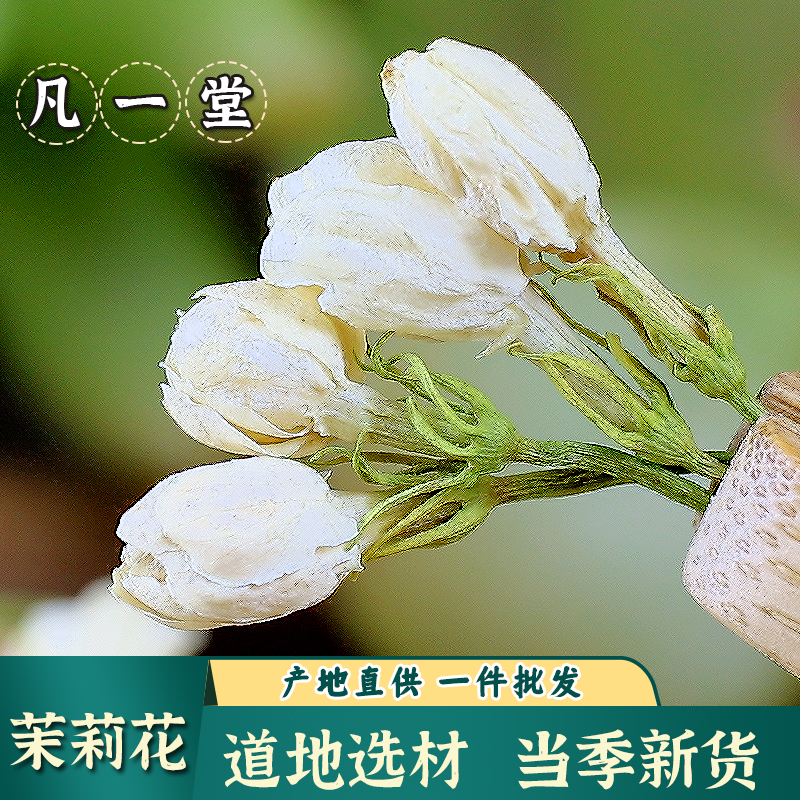 茉莉花体香茶茉莉花茯苓陈皮