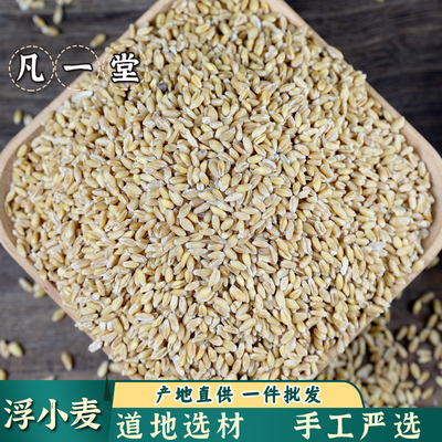 浮小麦五味子黄芪止汗麻黄根