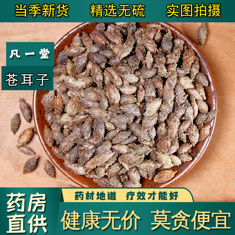 【凡一堂】苍耳子 仓耳子泡茶 可磨苍耳子粉中药材正品
