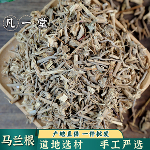 【凡一堂】中药材 马兰根 马兰草 路边菊 蟛蜞 马阑根 有马阑子