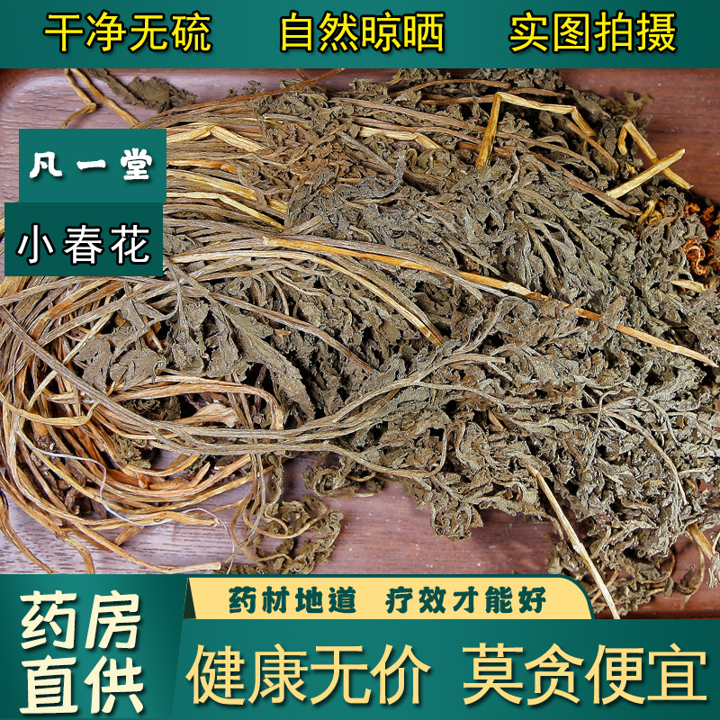 【凡一堂】小春花中药材破天云 阴地蕨 独立金鸡 散血叶 蛇不见