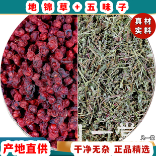 地锦草五味子茶 组合中材药房原料泡水的功效与作用和独立地锦