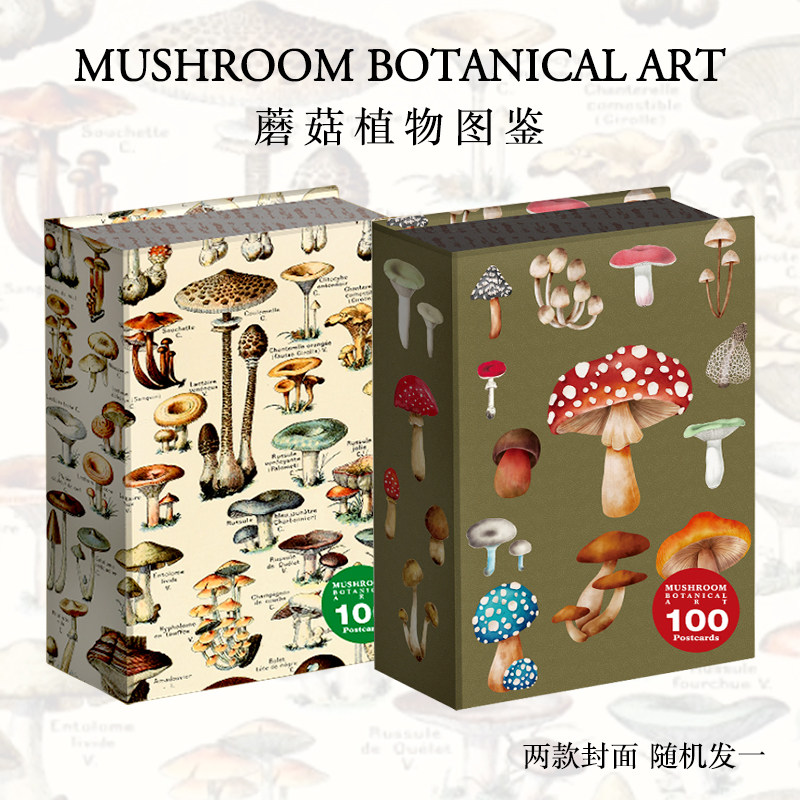 现货包邮【两款封面随机发一】Mushroom Botanical Art 100 postcards 蘑菇植物图鉴 高清大师蘑菇手绘设计合集 盒装100张明信片