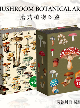 现货包邮【两款封面随机发一】Mushroom Botanical Art 100 postcards 蘑菇植物图鉴 高清大师蘑菇手绘设计合集 盒装100张明信片