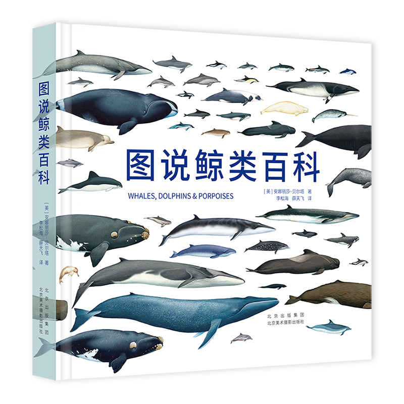 地球现存90个鲸类物种全收录