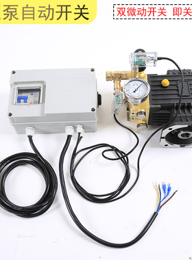 清洗机泵头关枪停机自动开关洗车机配件启停秒停便捷双微动开关
