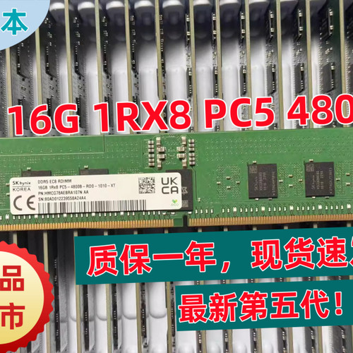 SK 海力士16G 1RX8 PC5  4800B DDR5 服务器内存 RDIMM