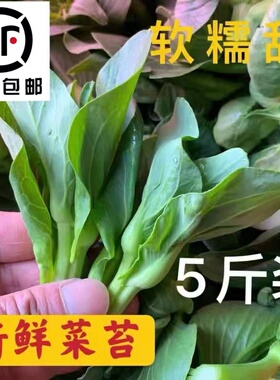 【好货】顺丰包邮新鲜霜冻青菜苔 青菜头绿色新鲜露天青菜苔