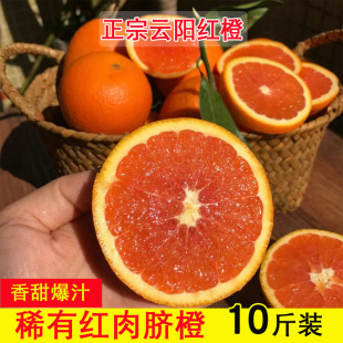 正宗云阳红橙卡拉红肉脐橙现摘现发皮薄多汁水果高阳新鲜水分橙子