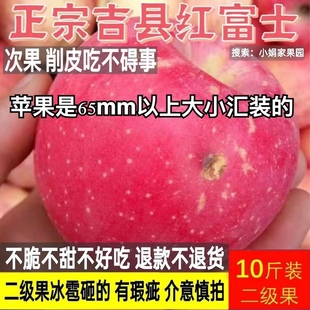 吉县苹果壶口苹果应季苹果新鲜水果二级苹果瑕疵苹果次苹果
