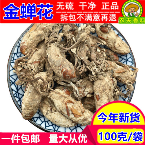 精选金蝉花100g克包邮新货竹林干