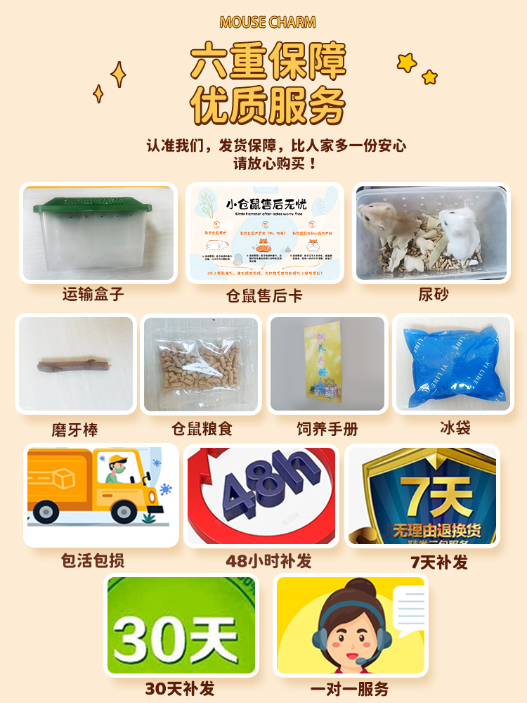 疯狂水草宠物仓鼠活物一线三线金丝熊老公公布丁一公一母包活运输