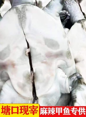 麻辣甲鱼苗老鳖生鲜宰杀代杀57869两1斤批卤味鲜活食用发水产包邮