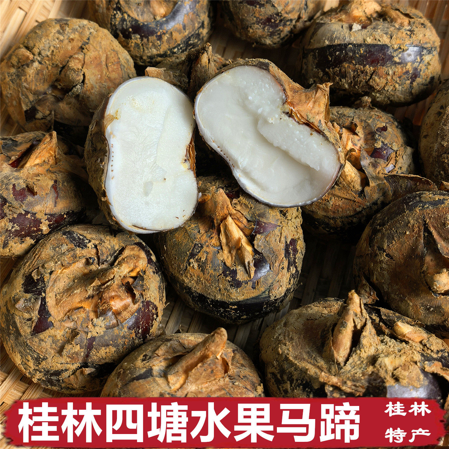 正宗广西桂林马蹄四塘马蹄农家当季新鲜水果荸荠即食地栗4.2斤装,水产肉类/新鲜蔬果/熟食,荸荠/马蹄,淘宝优惠券,粉丝福利购,淘宝优惠卷