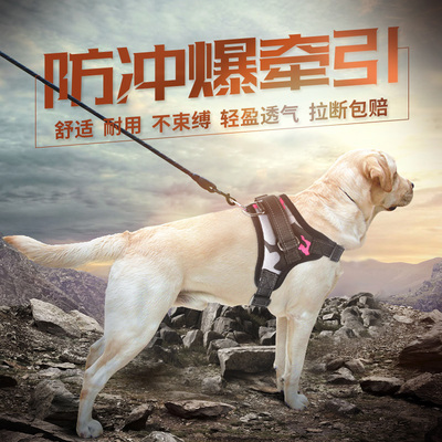 狗链子牵引绳防爆冲小萨摩耶金毛