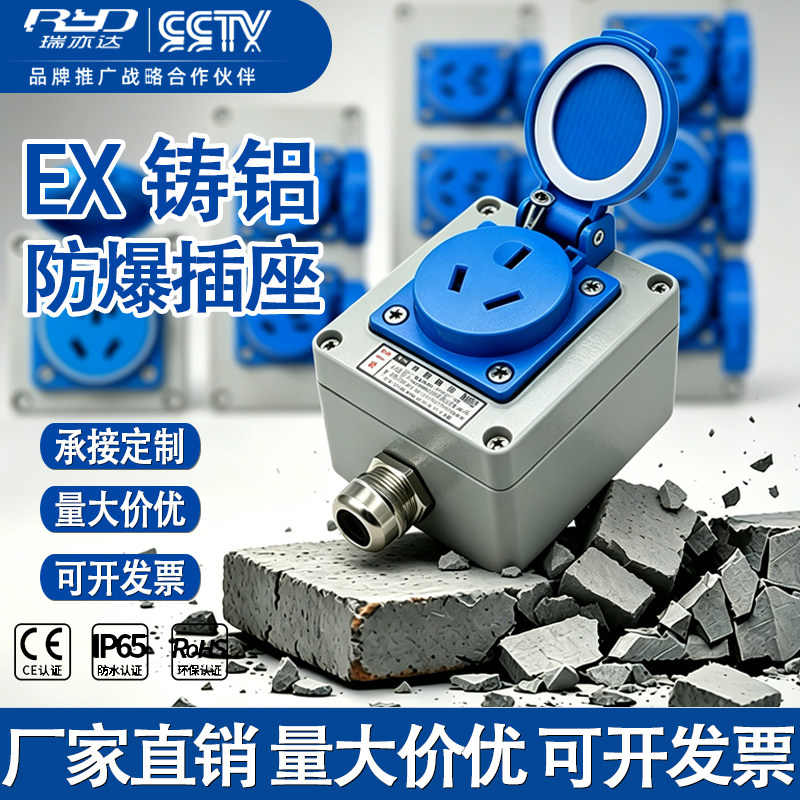 防爆插座多功能空调三孔10A五孔瑞亦达工业防尘插排16A220V接线板