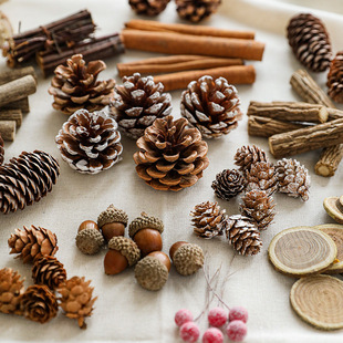 圣诞场景布置用品天然松果原木植物干果树干材料气氛装扮道具干花