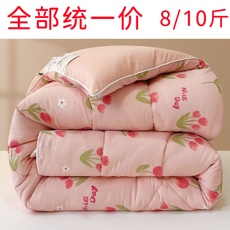 被子冬被芯加厚保暖8斤10斤2.0/1.8X2.2X2.4米尺寸水洗棉大豆被