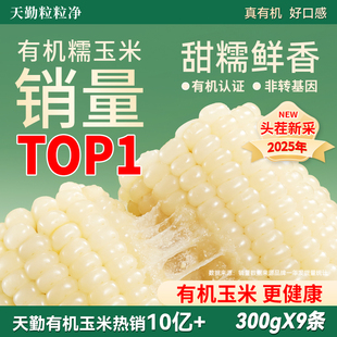 天勤粒粒净25年有机甜糯玉米9条8条新鲜糯玉米早餐代餐加热即食