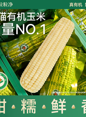天勤粒粒净25年新采有机新鲜白甜糯玉米铝箔包装袋甜粘苞玉米早餐