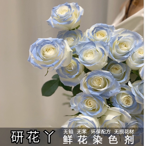 研花丫鲜花专用喷漆 碎冰蓝鲜花喷色剂花艺彩喷花店专用染色喷雾