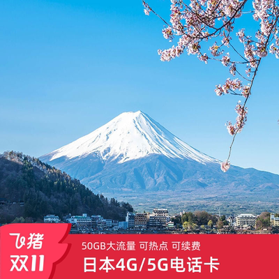 日本电话卡上网卡