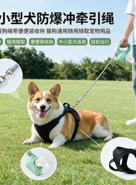 新款宠物用品猫狗牵引绳随用随取便便袋狗绳中小型犬防爆冲遛狗绳