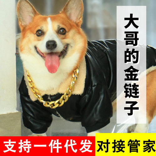宠物狗狗项圈猫咪金毛拉布拉多黄金项链配饰法斗猫拍照泰迪犬恶霸