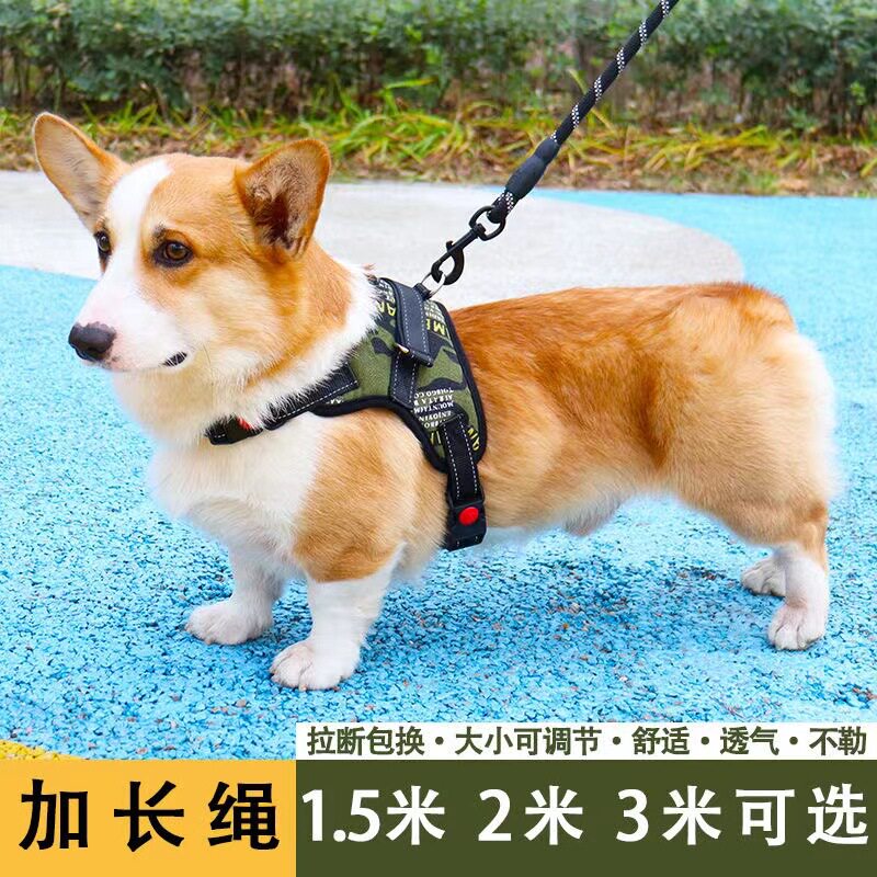 遛狗背带狗牵引绳泰迪小型犬大型犬伸缩宠物胸背2米3米反光牵狗绳