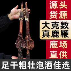 枫木鹿鞭正品吉林梅花鹿鞭风干男士滋补品保健鹿茸泡酒整根马鹿鞭