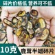 吉林梅花鹿茸片半腊片碎片全腊片蜡片泡酒煲汤马鹿高性价比10克装