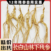 正宗12年东北林下参长白山人参林下参残参干货人参泡酒专用一手货