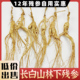 正宗12年东北林下参长白山人参林下参残参干货人参泡酒专用一手货