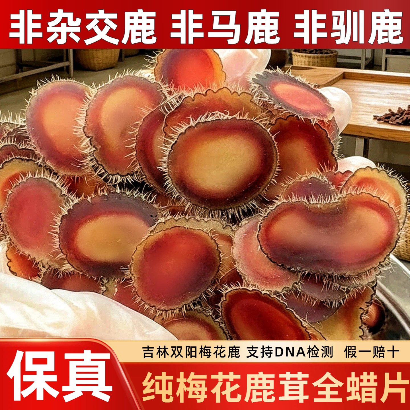 吉林双阳纯梅花鹿茸全腊片非马鹿图片