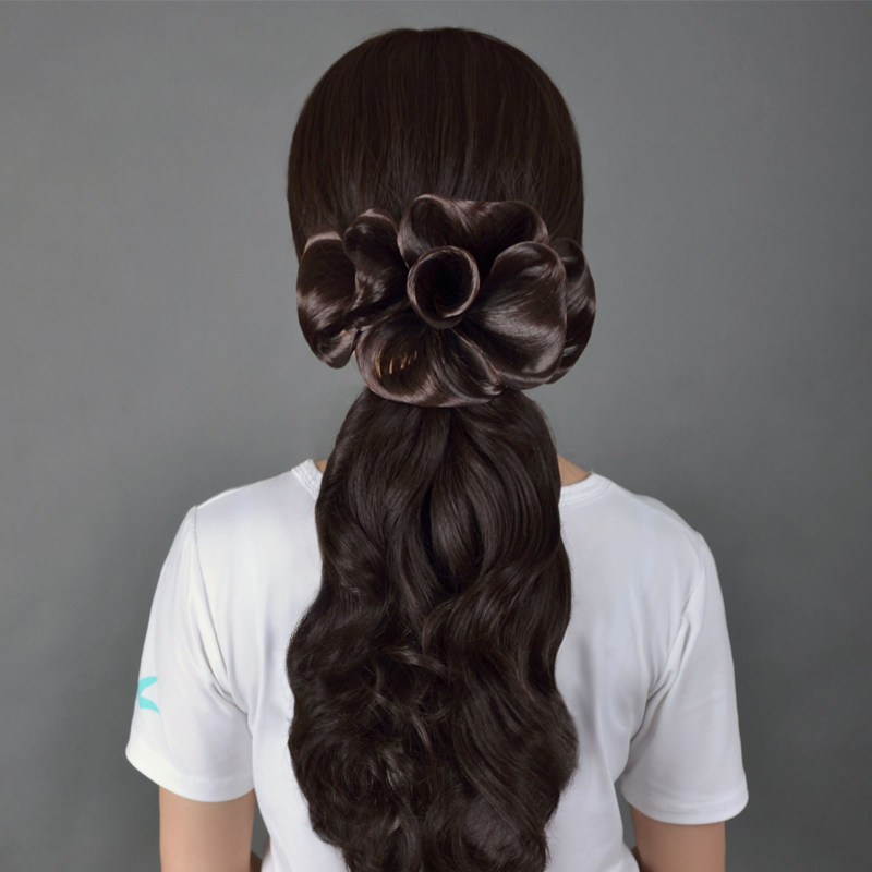 Extension cheveux - Chignon - Ref 245784 Image 1