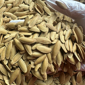 新货鹰嘴南瓜子美人甲卤味五香大颗粒长粒零食纸皮南瓜籽炒货年货