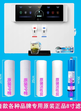 净水器滤芯白色语音款直饮加热一体机RO100G反渗透膜PP棉专用