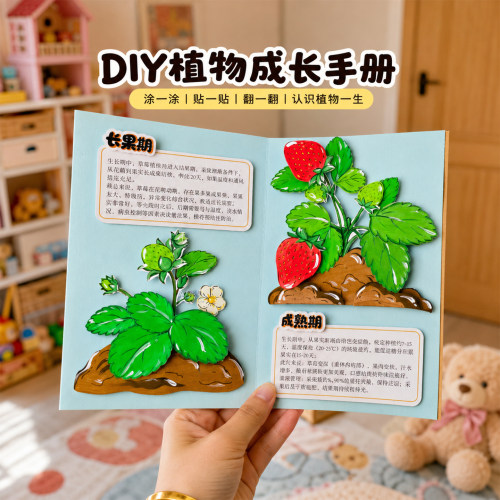 植物生长观察日记手工diy涂色学生儿童活动区域种植成长记粘贴画