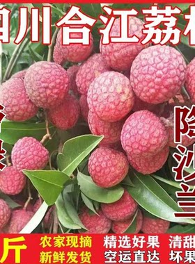 包邮正宗四川泸州合江荔枝新鲜大红袍荔枝妃子笑荔枝现摘发货